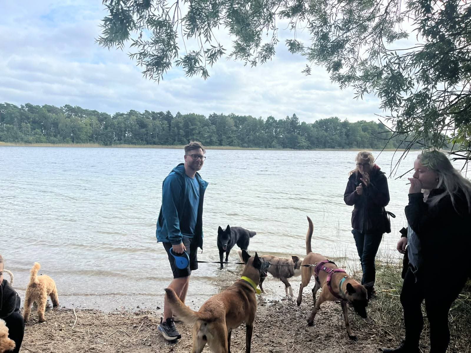Eine große Hunde-Runde am 19. September 2026, Bild 4