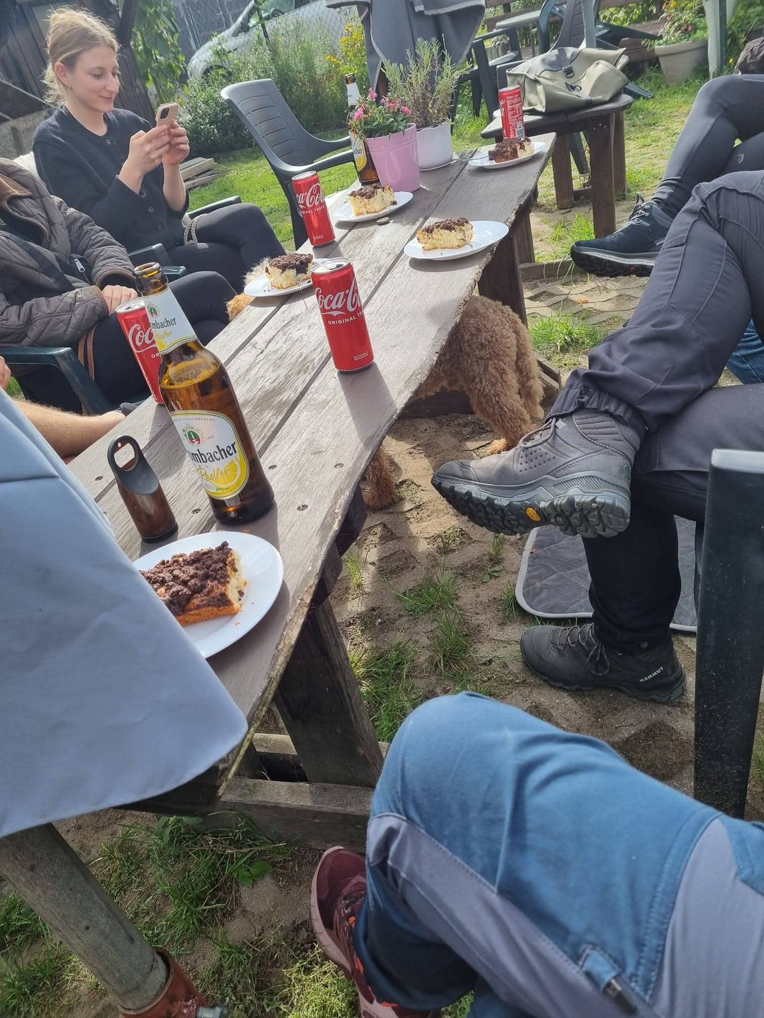 Eine große Hunde-Runde am 19. September 2026, Bild 11