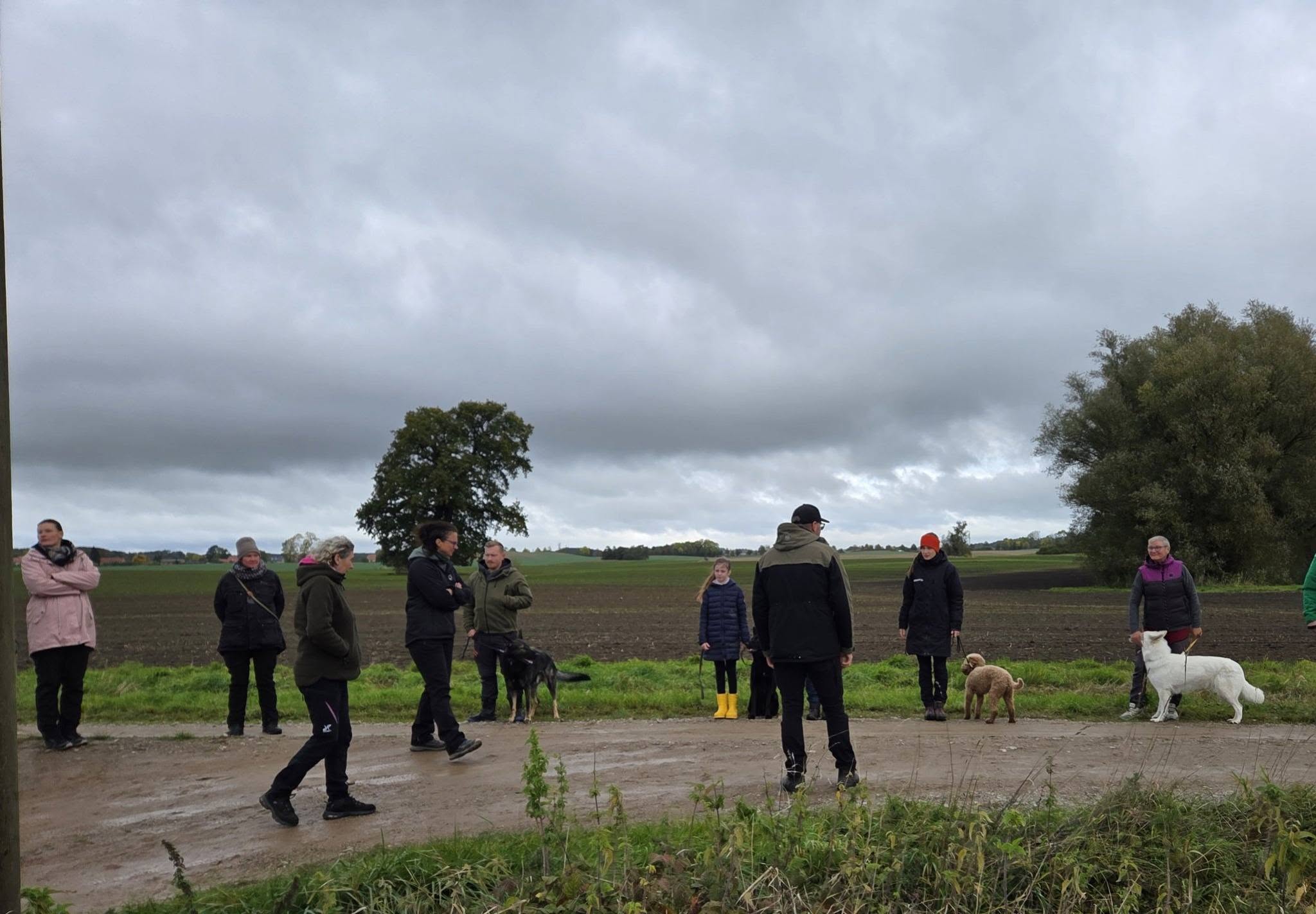 Prüfung in Rittermannshagen am 18. Oktober 2026 – Bild 11