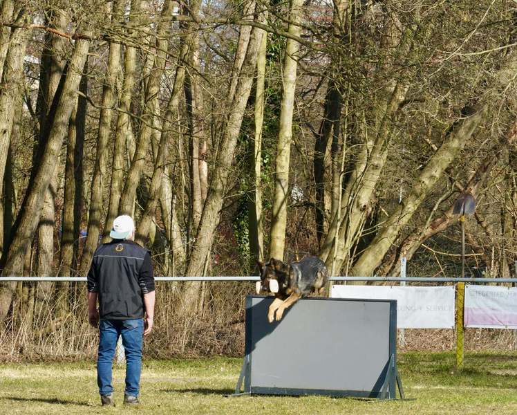 Gebrauchshundeprüfung am 8. März 2025, Bild 3